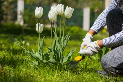 Healthy residential lawn care in Archway with neat grass and edging