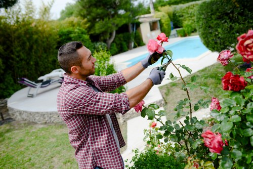 Professional garden clearance work in Archway
