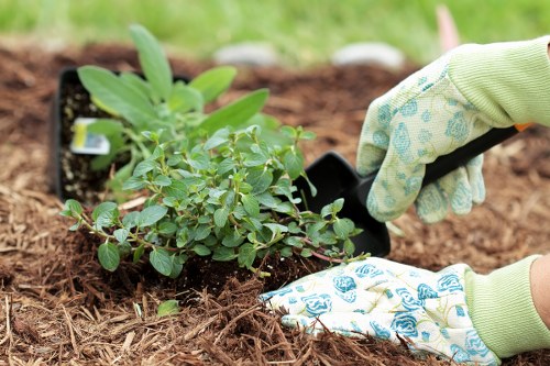 Garden maintenance in Archway with tidy lawn and shrubs