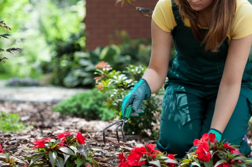 Crew using protective equipment during landscaping work