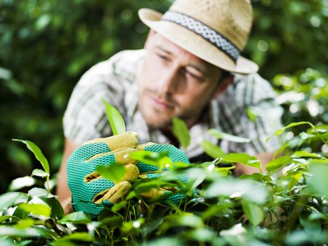 SSL encrypted Archway landscapers payment process for card security