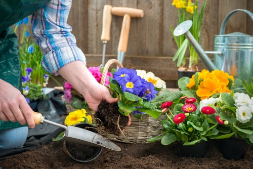Flower bed creation in Archway with neat planting and garden structure