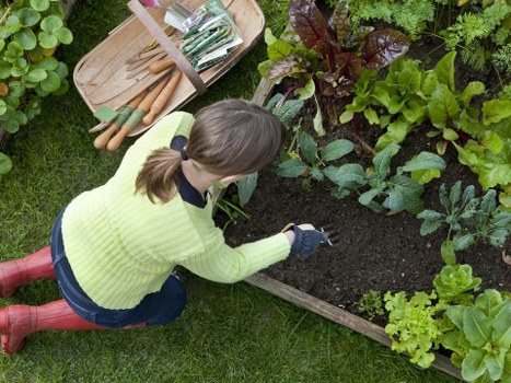 Seasonal garden maintenance in Archway for healthy planting beds