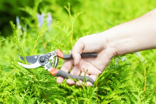 Selecting plants for planting services in Archway