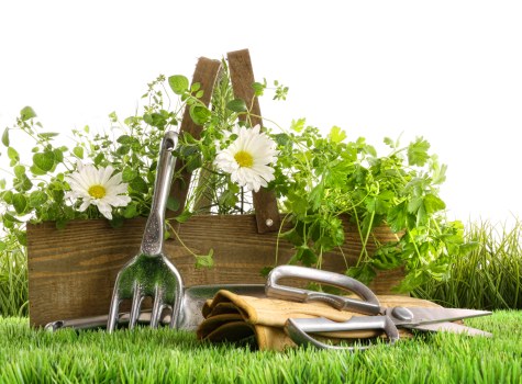 Hard landscaping and paving installation by Archway garden experts