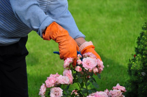 Accessibility request support for Landscapers Archway website users