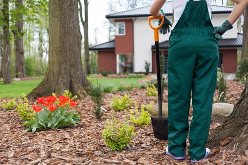 Seasonal garden maintenance and landscaping work in Archway