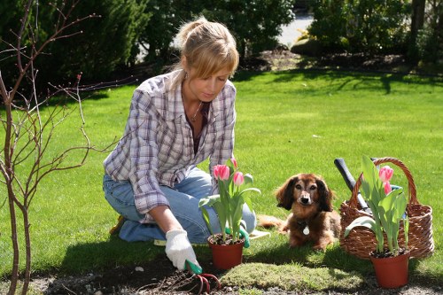 Screen-reader friendly layout for Archway landscaping information