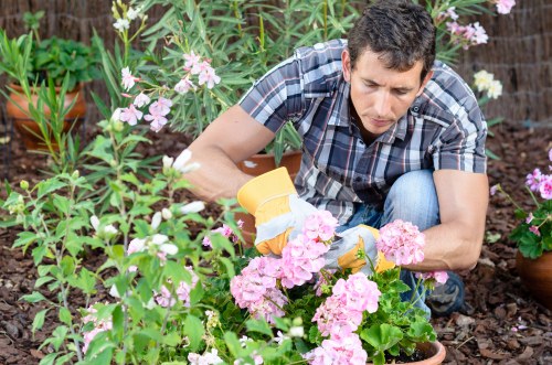 Garden planting design and installation in Archway