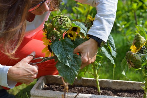 Cookie policy information for Landscapers Archway website